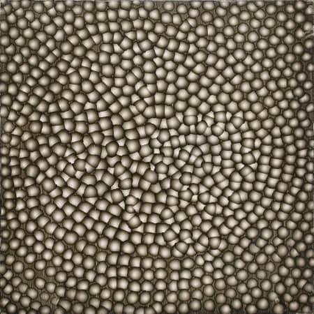 Ross Bleckner — Untitled